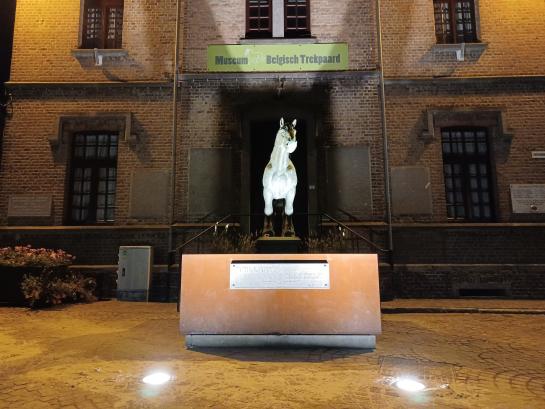Standbeeld van een Brabants trekpaard voor het museum van het Brabants trekpaard