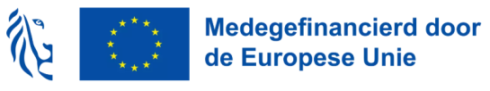 Logo Vlaanderen en logo Europa Medegefinancierd door de Europese Unie