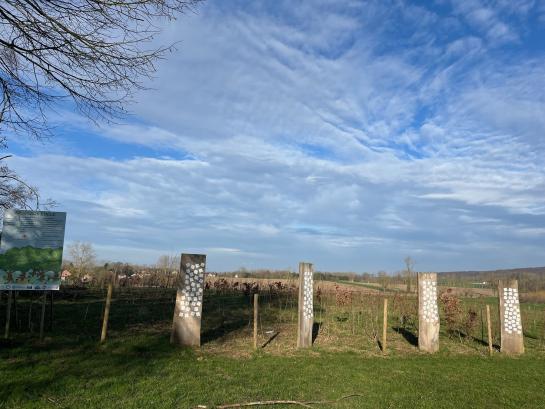 Speelbos met bomen in aanplant