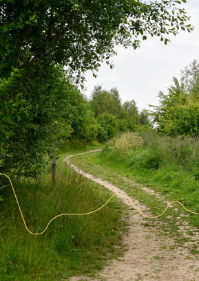 landwegje met links en rechts hoog gras