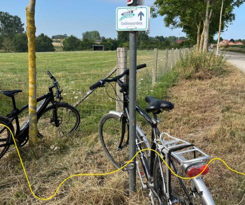 fiets 
